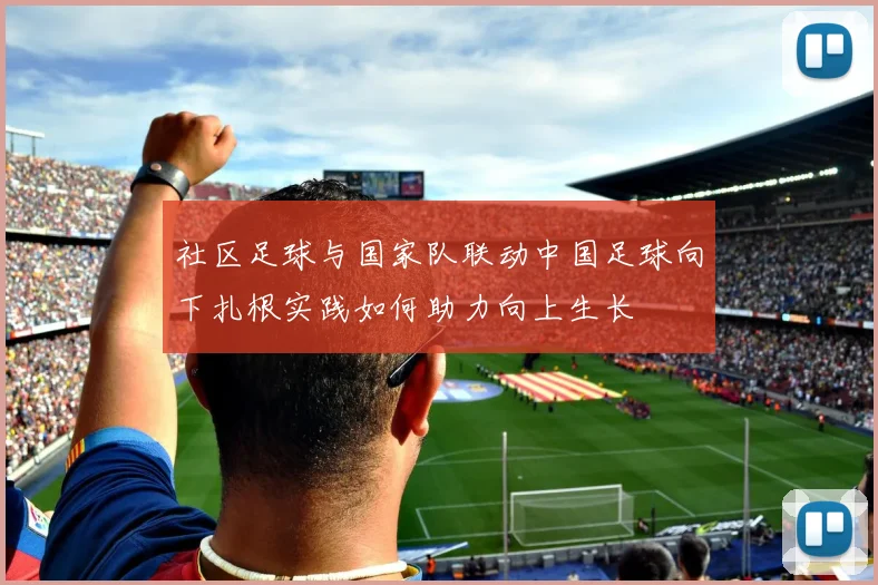 社区足球与国家队联动中国足球向下扎根实践如何助力向上生长