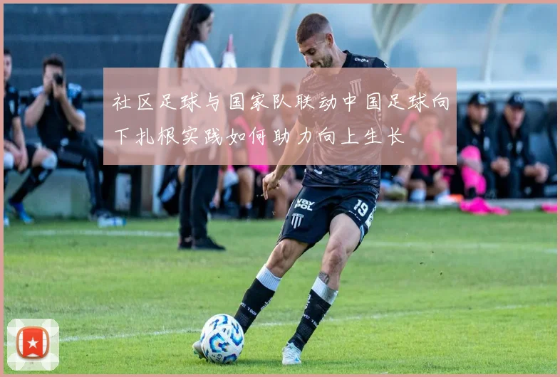 社区足球与国家队联动中国足球向下扎根实践如何助力向上生长