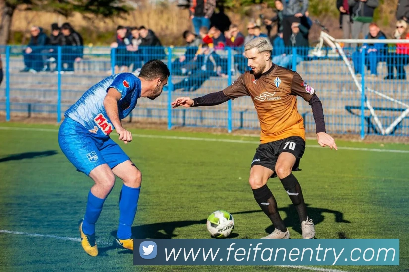 非凡体育平台生态图