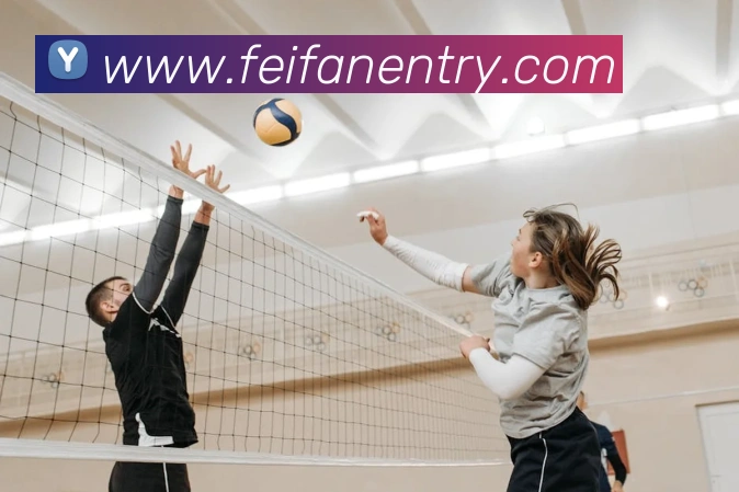 非凡体育APP 封面图