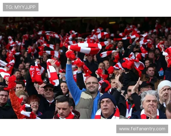 德甲球队的历史派别划分与球迷文化差异